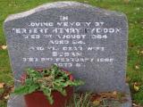 image of grave number 437989